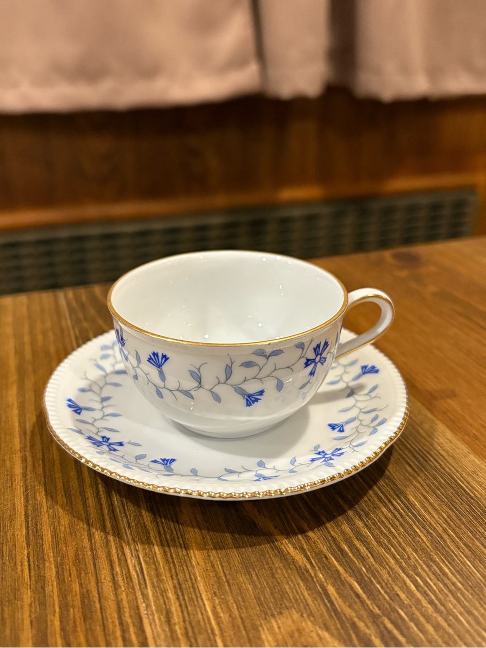 Vintage Bavaria Germany Blue Floral Porcelain Teacup and Saucer set w/ Gold Trim